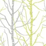 Apelt Fresco -40