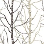 Apelt Fresco -75