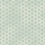 Apelt Morton -