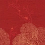 Apelt Passion -