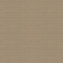 Apelt Tizian -