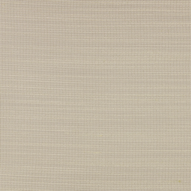Stoff ALLEGRO III-0251 von Création Baumann