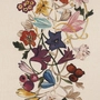 Dedar About Flowers ABOUT_-001