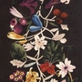 Dedar About Flowers ABOUT_-004