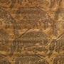 Dedar Tiger Mountain T18015-