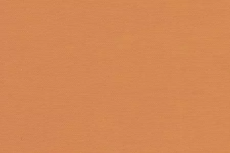 Stoff Target 24188-2170 von Delius