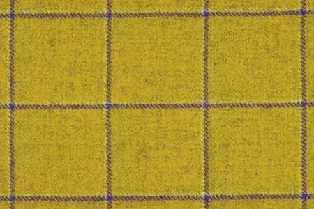 Stoff Glasgow 26999-2004 von Delius