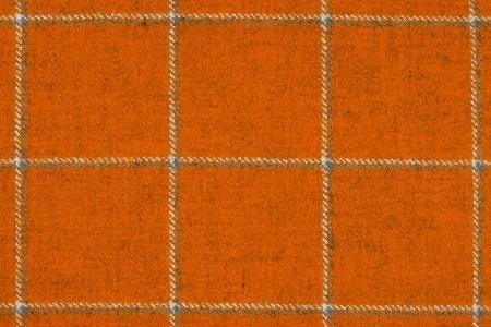 Stoff Glasgow 26999-3007 von Delius