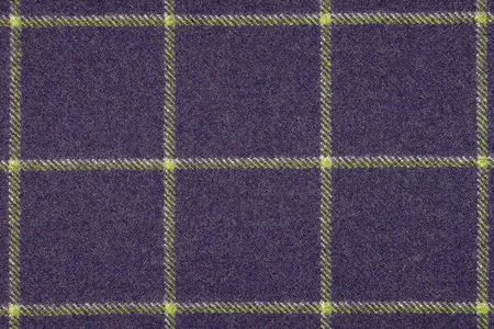 Stoff Glasgow 26999-4003 von Delius