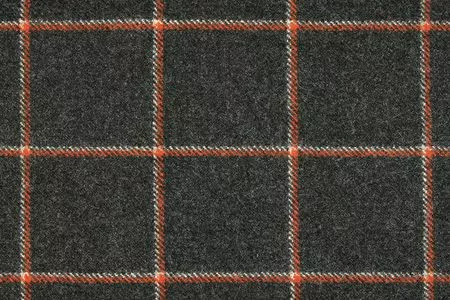 Stoff Glasgow 26999-8005 von Delius