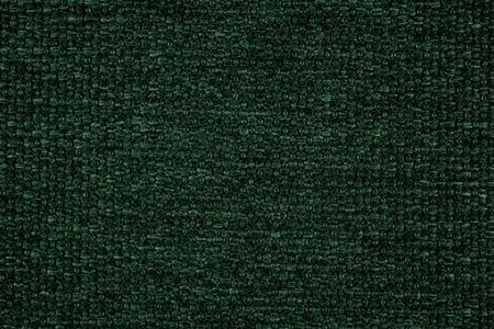 Stoff Gomez 29341-6552 von Delius