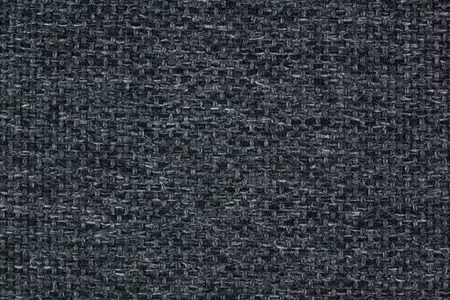 Stoff Gomez 29341-8551 von Delius