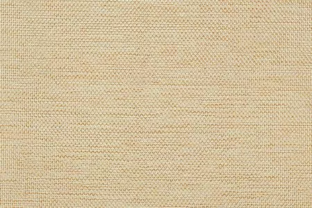 Stoff Sisto Dimout 29443-2553 von Delius