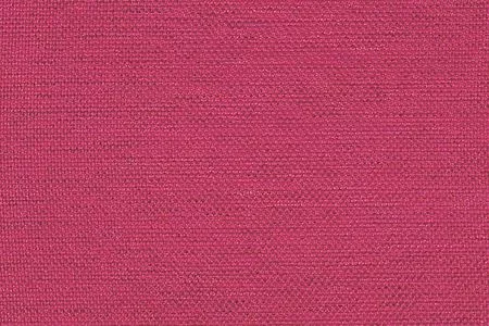Stoff Sisto Dimout 29443-4550 von Delius