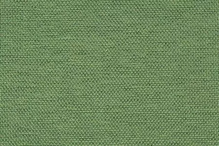 Stoff Sisto Dimout 29443-6552 von Delius