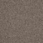 Delius Spencer 34570-4000