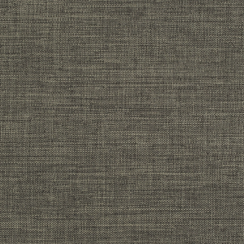 Stoff Jackson Deliblack 35969-7551 von Delius