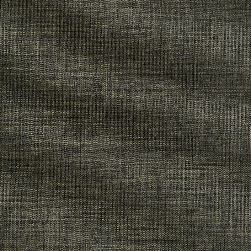 Stoff Jackson Deliblack 35969-7552 von Delius
