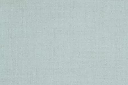 Stoff Elvin Deligard 36176-8551 von Delius