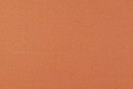 Stoff Chester Dimout 36416-2551 von Delius