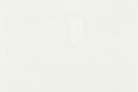 Stoff Minerva Delilight 36609-9150 von Delius