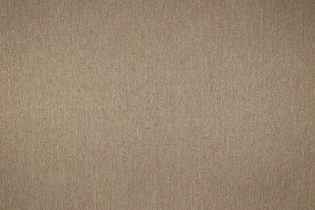 Stoff Finett Dimout 36711-1551 von Delius