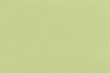Stoff Uni-Fr Deliperl 59138-6113 von Delius