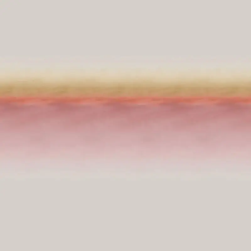 Stoff Blush Delilight-2520 von Delius