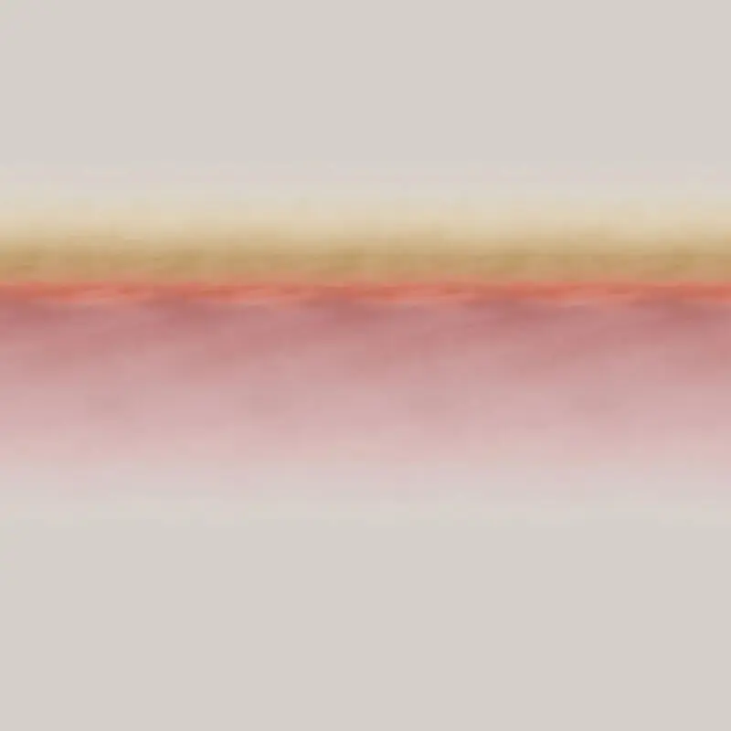Stoff Blush Delinight-2520 von Delius