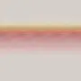 Delius Blush Delinight 61000650-2520