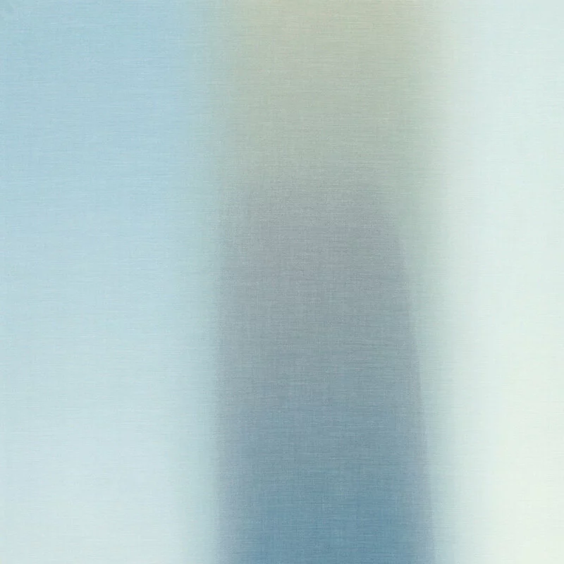 Stoff Blur-0004 von de Ploeg