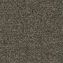 de Ploeg Verio -0088