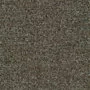 de Ploeg Verio 010701-0088