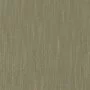 de Ploeg Muse 010707-0005