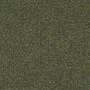 de Ploeg Nuvola 040021-55