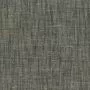 de Ploeg Birk 042126-