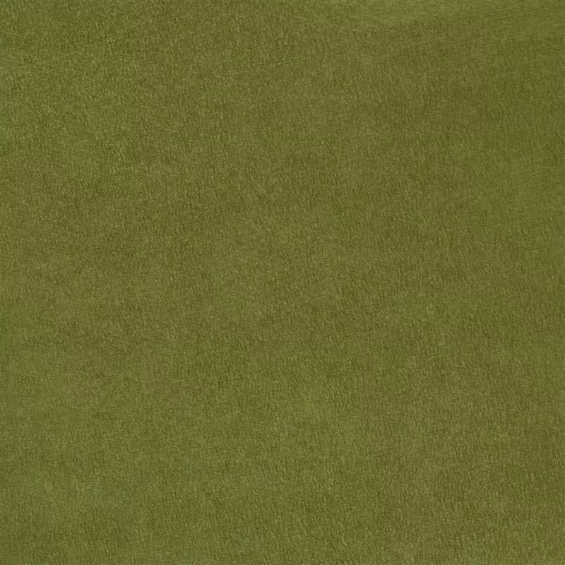 Stoff Mezzola F1090/67 von Designers Guild
