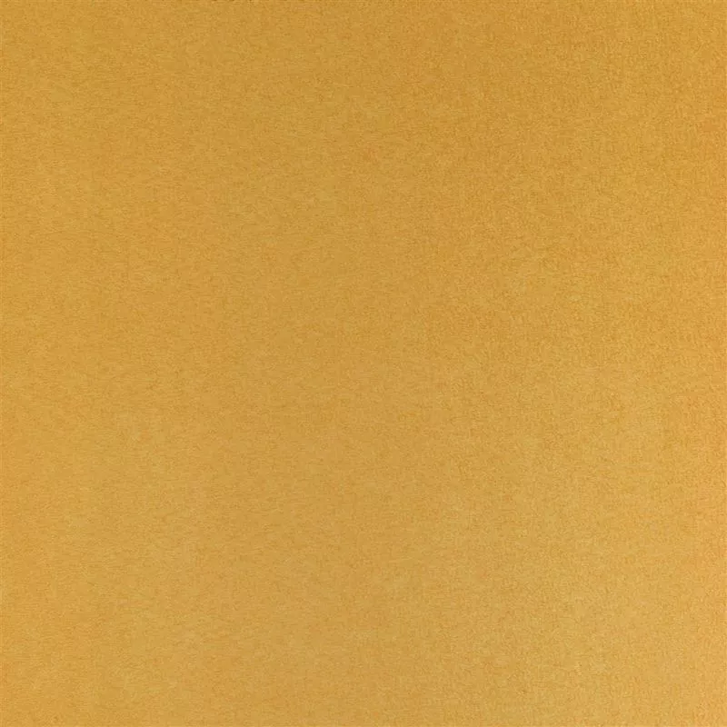 Stoff Mezzola F1090/75 von Designers Guild
