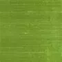 Designers Guild Chinon F1165/21