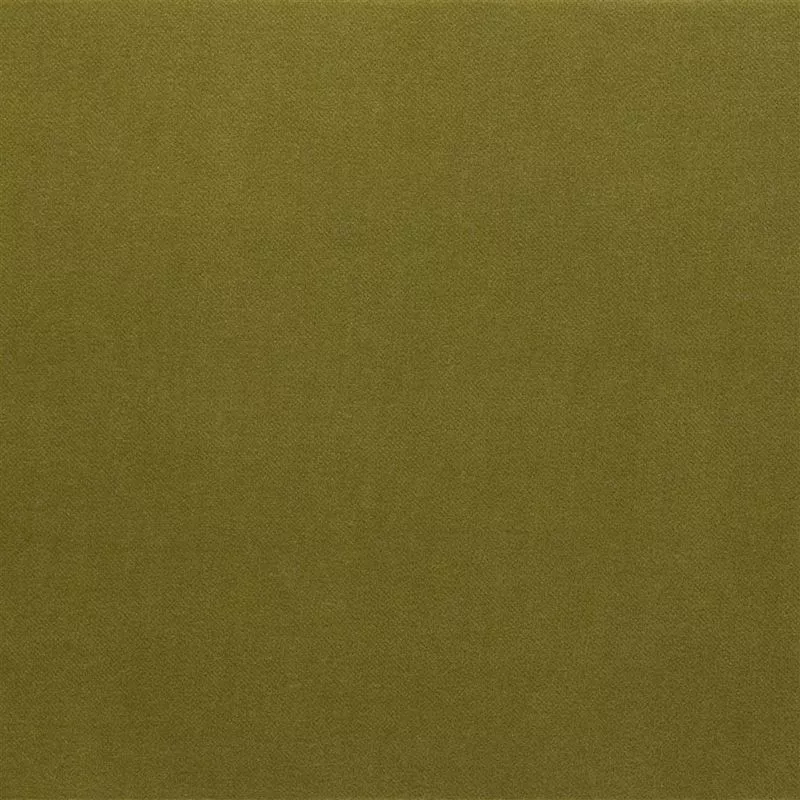 Stoff Varese F1190/03 von Designers Guild