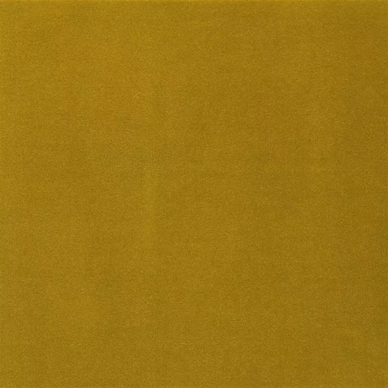 Stoff Varese F1190/06 von Designers Guild