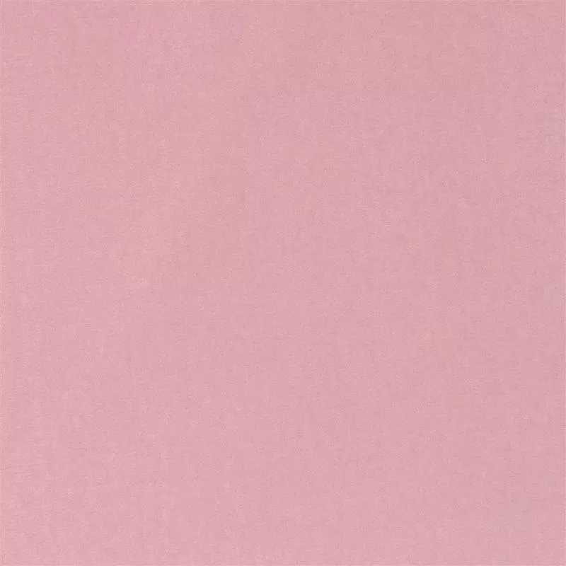 Stoff Varese F1190/65 von Designers Guild