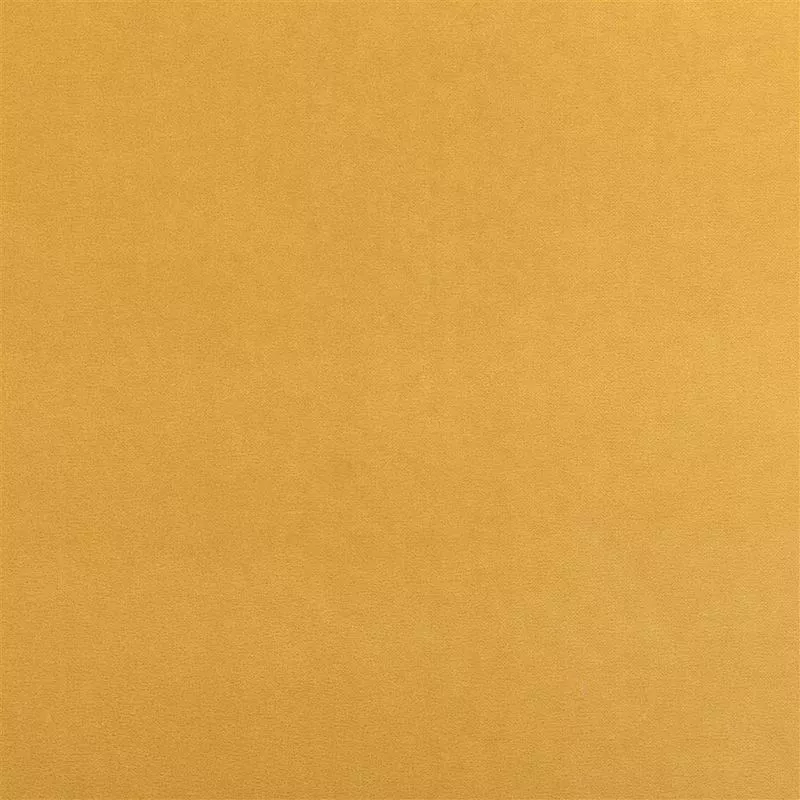Stoff Varese F1190/98 von Designers Guild