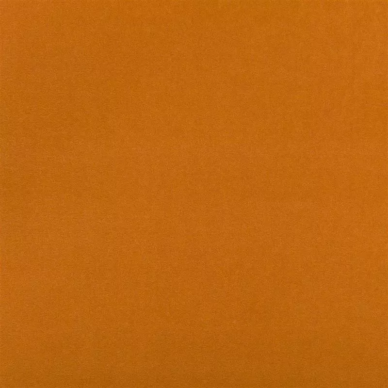 Stoff Varese F1190/99 von Designers Guild