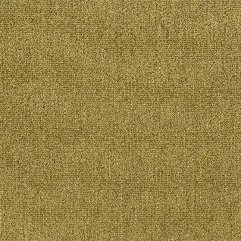Stoff Ribera F1418/21 von Designers Guild