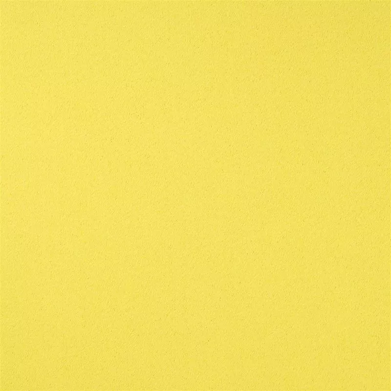 Stoff Santiago F1650/20 von Designers Guild