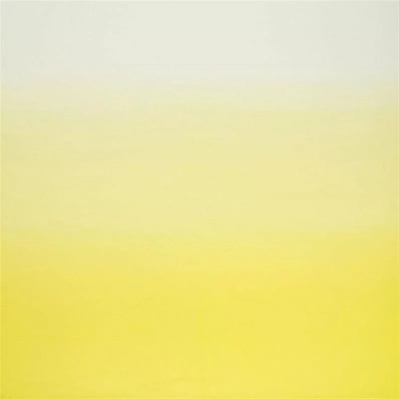 Stoff Saraille F1879/14 von Designers Guild