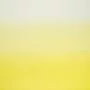 Designers Guild Saraille F1879/14