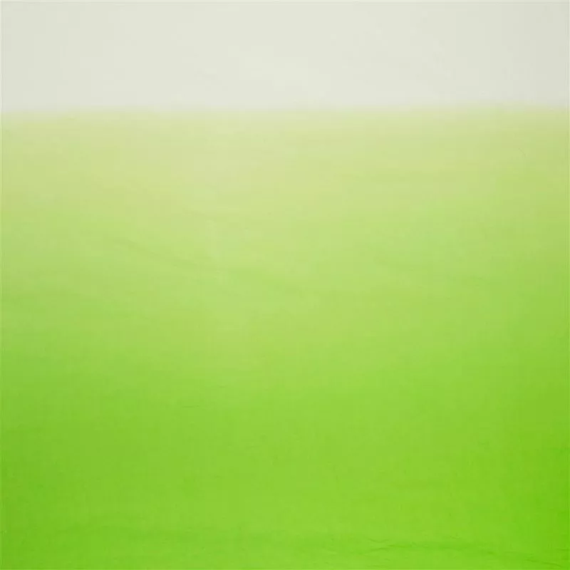 Stoff Saraille F1879/15 von Designers Guild