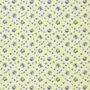 Designers Guild Wild Rose F1920/05